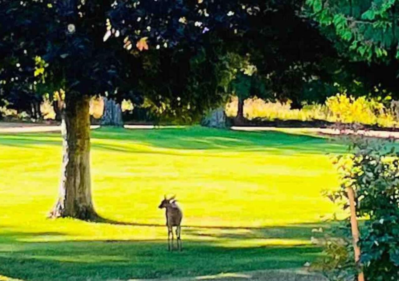Oceanside Manor - Golf Course View Bed & Breakfast Qualicum Beach Dış mekan fotoğraf