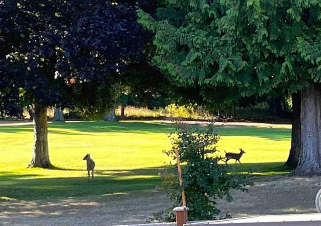 Oceanside Manor - Golf Course View Bed & Breakfast Qualicum Beach Dış mekan fotoğraf